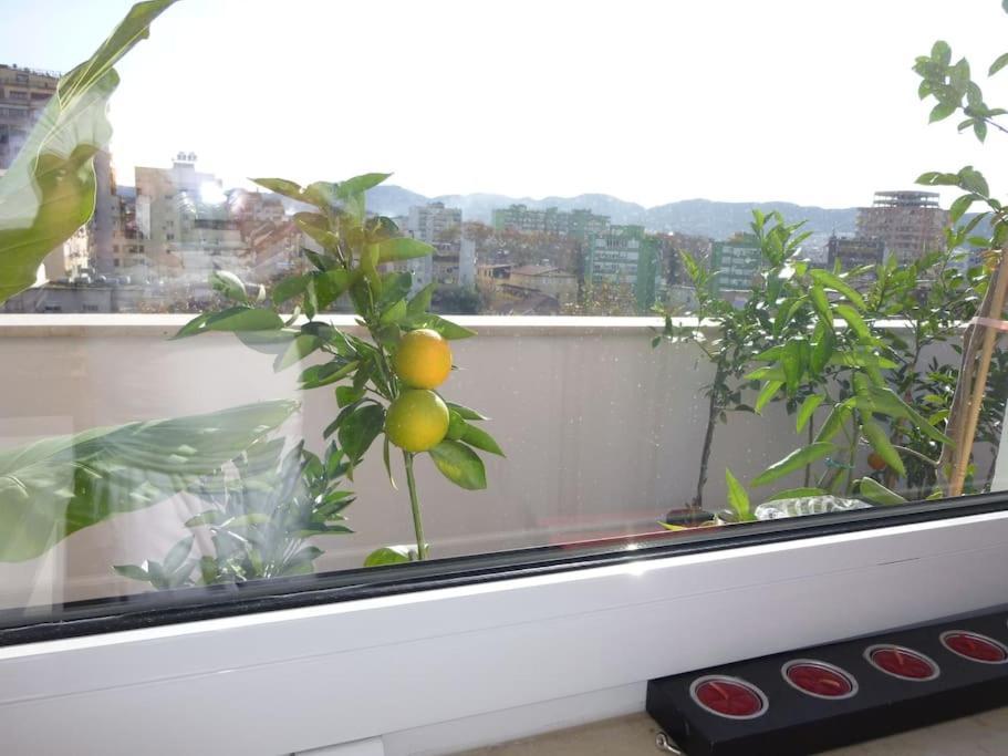 140m2 Floorcentral Loft 24hr Self Check-in Tirana